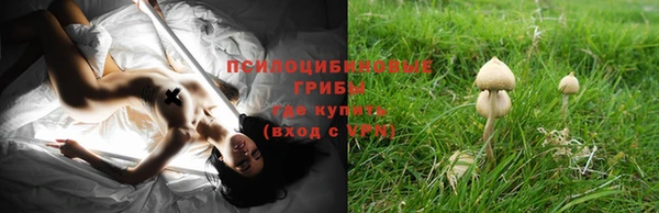 кокаин перу Белокуриха